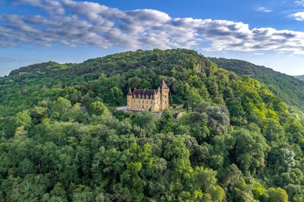 Vente Château Sarlat-la-Canéda 32 Pièces 1150 m²