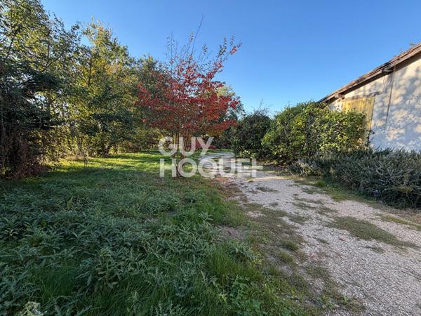 À LOUER : appartement T2 RDC avec jardin