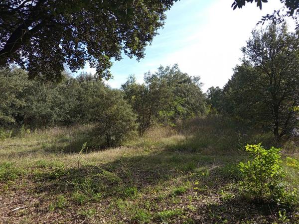 Ferme à rénover 370m² potentiel habitable sur terrain de 44 500m², Montségur sur lauzon 349 000HAI