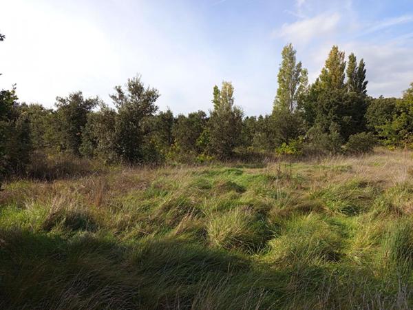 Ferme à rénover 370m² potentiel habitable sur terrain de 44 500m², Montségur sur lauzon 349 000HAI