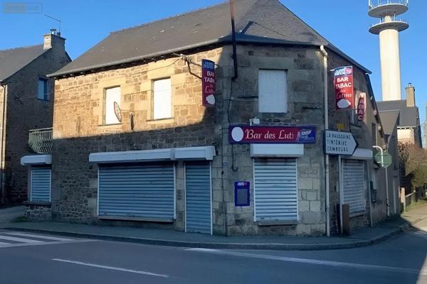 Achat - Immeuble | Local mixte (Pro/Hab) Longaulnay 35190 5 pièces 138 m 2 207 m 2