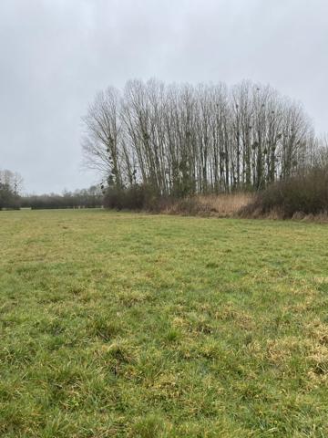 À vendre - Etang 11 m² situé à Château-la-Vallière (37330)