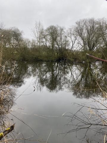 À vendre - Etang 11 m² situé à Château-la-Vallière (37330)