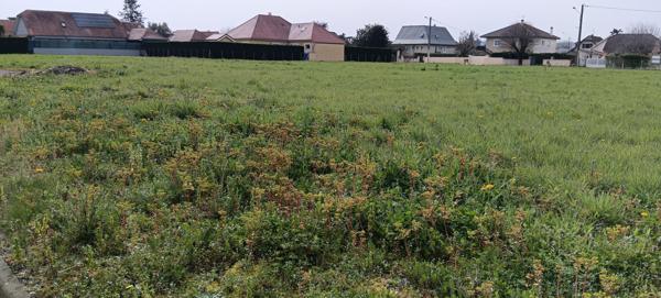 À vendre - Terrain projet construction 1106 m² situé à Denguin (64230)