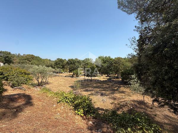 A VENDRE 83470 SAINT MAXIMIN MAISON T5 DE 150M² SUR 5000M² DE TERRAIN DONT 2500M² CONSTRUCTIBLE 2 DEPENDANCES GARAGE PISCINE