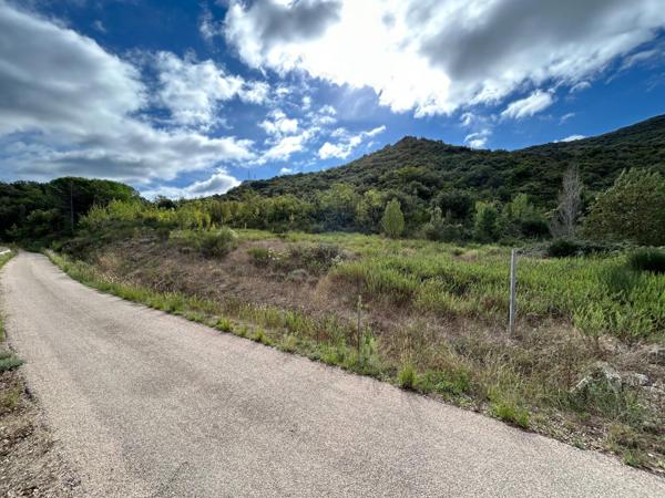 TAILLIS DE 3 HECTARES