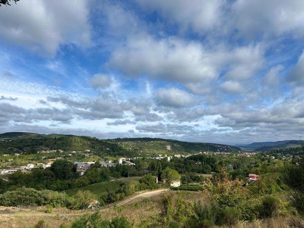 TAILLIS DE 3 HECTARES