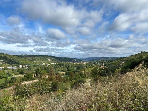 TAILLIS DE 3 HECTARES