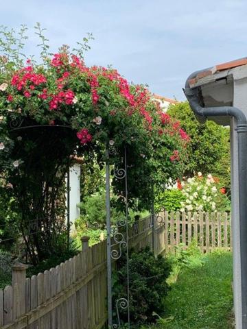 Appartement 2 Pièces  Rez de Jardin La Rochelle