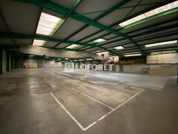 Achat local commercial près de Doué-en-Anjou - 3000 m² - 2 090 000 €
