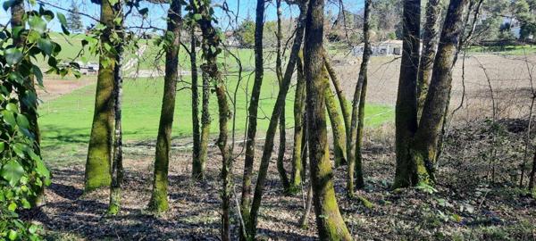 Terrain à TRELISSAC, 24750 - 2609m²