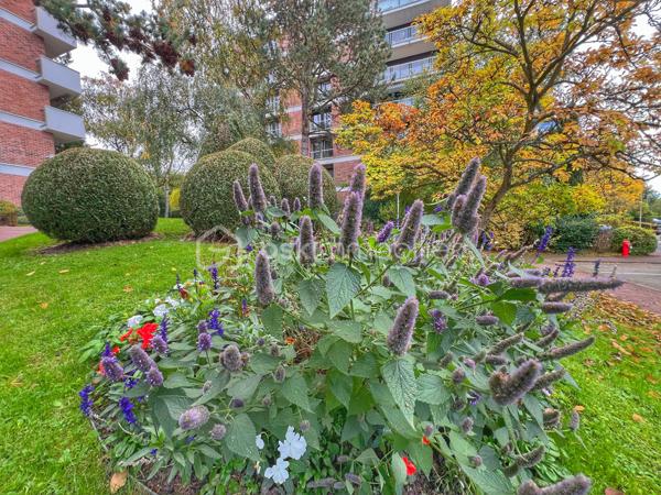 Appartement de 76,30 m²