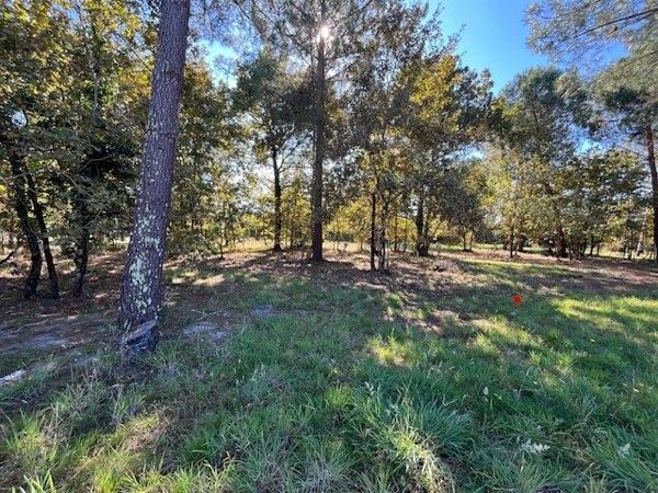 Gujan-Mestras : Situation exceptionnelle, terrain arboré et viabilisé de 800 m2 !