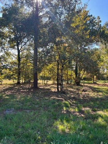 Gujan-Mestras : Situation exceptionnelle, terrain arboré et viabilisé de 800 m2 !