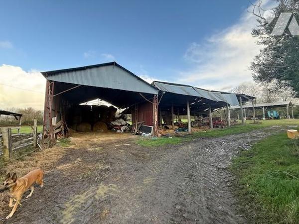 LIVAROT PAYS d'AUGE - NOTRE DAME DE COURSON  TERRAIN DE 02 HECTARES ENVIRON AVEC BATIMENTS AGRICOLES