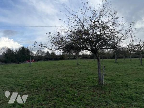 LIVAROT PAYS d'AUGE - NOTRE DAME DE COURSON  TERRAIN DE 02 HECTARES ENVIRON AVEC BATIMENTS AGRICOLES