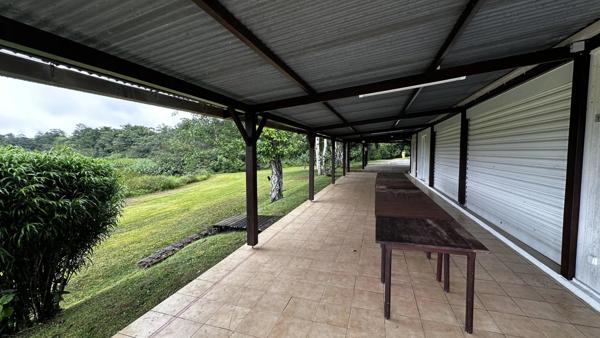 Immobilier Matoury (97351) – Ensemble immobilier 276m2 – 1 995 000 €