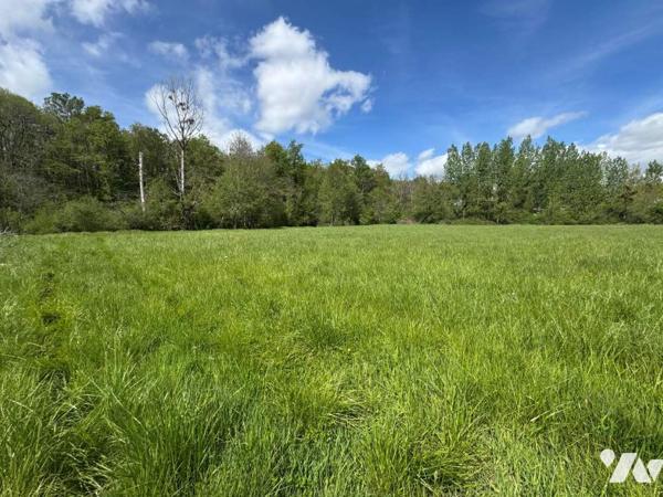 Terrain de loisirs