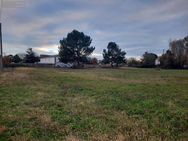 Terrain à Batir à vendre à Saint-Hilaire-de-Riez en Vendée (85270), ref : 85091-5083