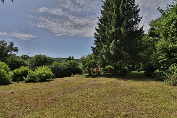 Maison avec 35 ares de terrain !