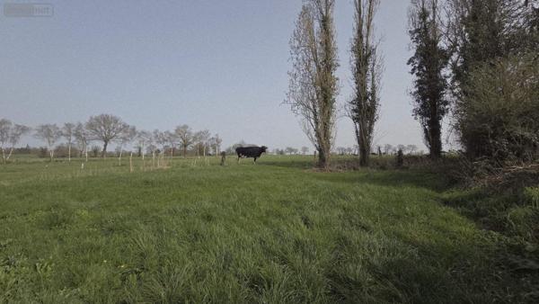 Maison à vendre à Acigné en Ille-et-Vilaine (35690), ref : 019/5539 MCB