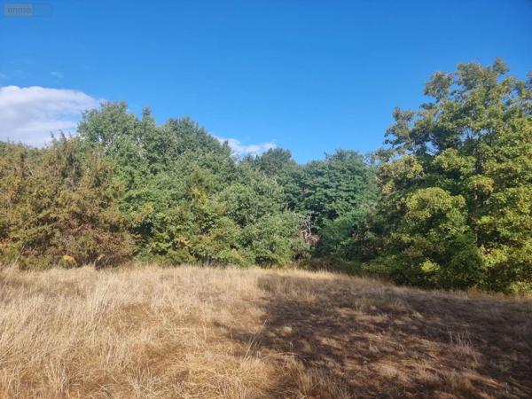 Achat - Maison | Fermette Saint-Julien-sur-Cher 41320 4 pièces 95 m 2 17934 m 2