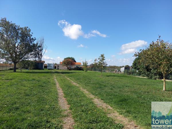 DEUX MAISONS + TERRAINS DE 3615 M2