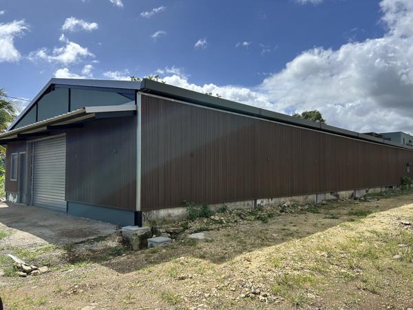 Petit-Bourg (97170) Dépôt 300m2 NEUF Colin