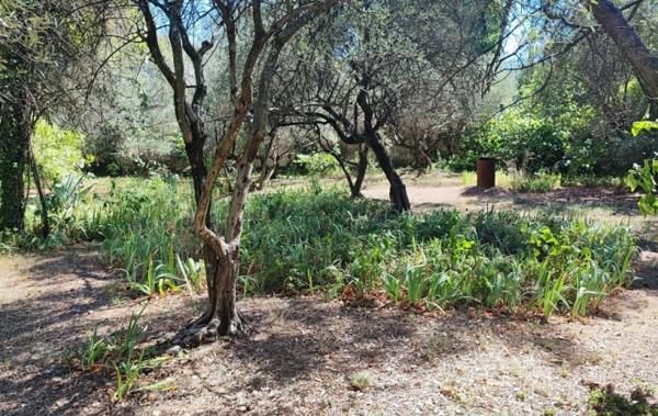 Vente Terrain Constructible Nimes   