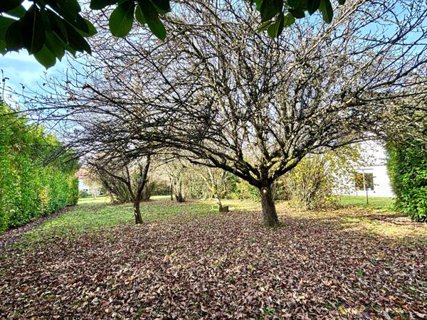 Maison T3 sur sous sol , 19 ares de terrain avec hangar
