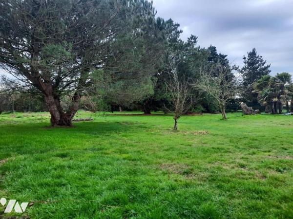 SAINT-URBAIN  - Au Calme