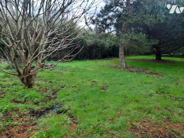 SAINT-URBAIN  - Au Calme