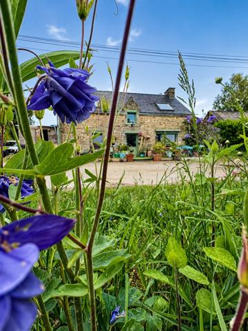Maison en pierre à rénover· Âme bretonne · 2 ch · 68 m² · Elven