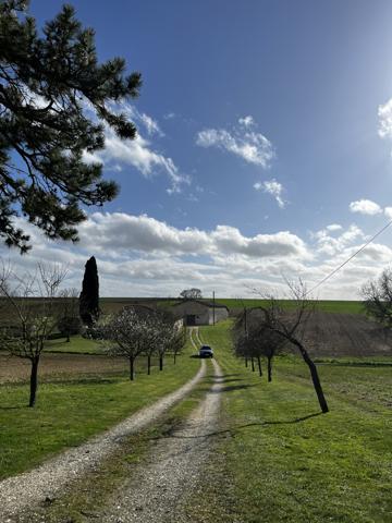 Mauvezin (32120) Maison de caractère en pierre — 152 m² de douceur de vivre et lumière.