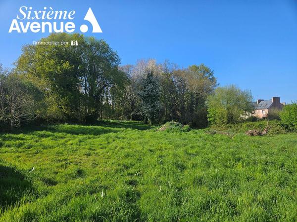 Terrain 504 m2