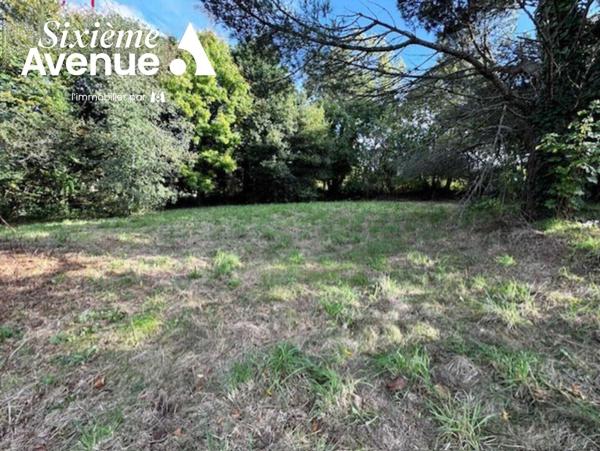 Terrain 1606 m2