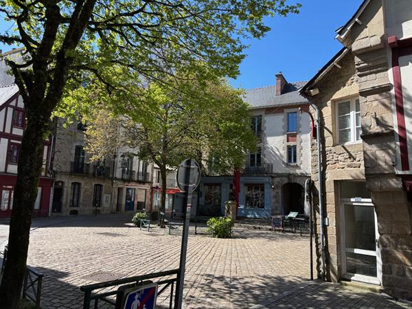 STUDIO 30 m² AURAY hyper centre , Auray