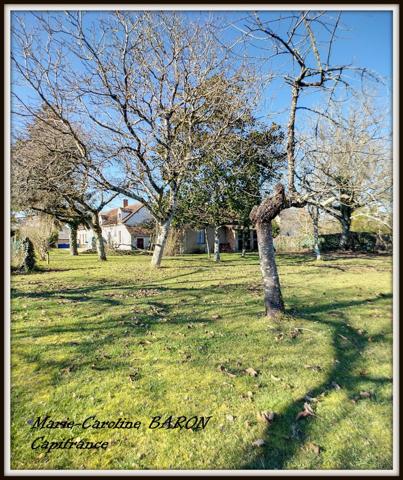 Indre (36), SAINT LACTENCIN longère mitoyenne à rénover