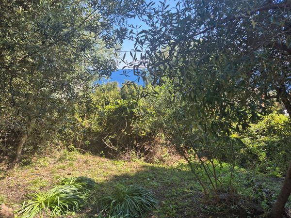 Maison Santa Maria Di Lota 8 pièce(s) 170 m2