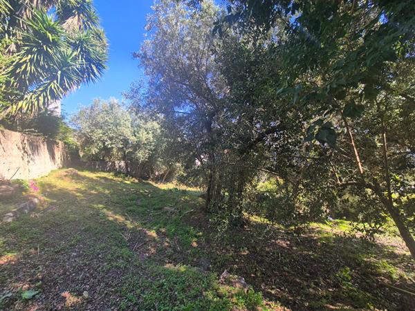 Maison Santa Maria Di Lota 8 pièce(s) 170 m2