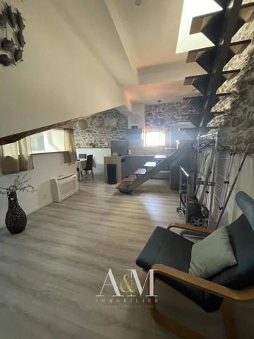 Appartement T4 de 47,17m² carrez + terrasse privative