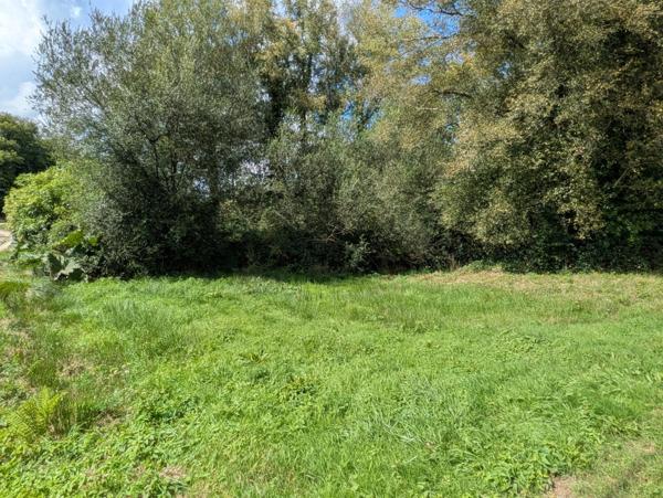 SILFIAC JOLIE MAISON DE CAMPAGNE AVEC VIE DE PLAIN PIED DE 4 PIECES 56 m² 2 DEPENDANCES PARCELLE DE 1084m²