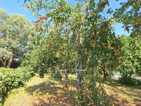 Maison à vendre 12 pièces de 278 m²