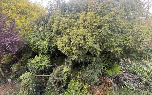 Maison à vendre    5 pièces •  Saint-Paul-lès-Dax