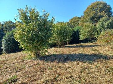Terrain de loisirs - Bois - Etang à vendre à Le Faouët dans le Morbihan (56320), ref : 56081-2482