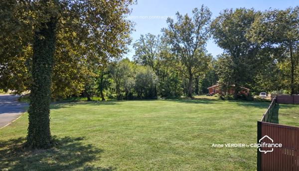 Terrain Constructible - Gourbera - DAX