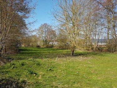 Terrain de loisirs - Bois - Etang à vendre à La Flèche dans la Sarthe (72200), ref : 1173