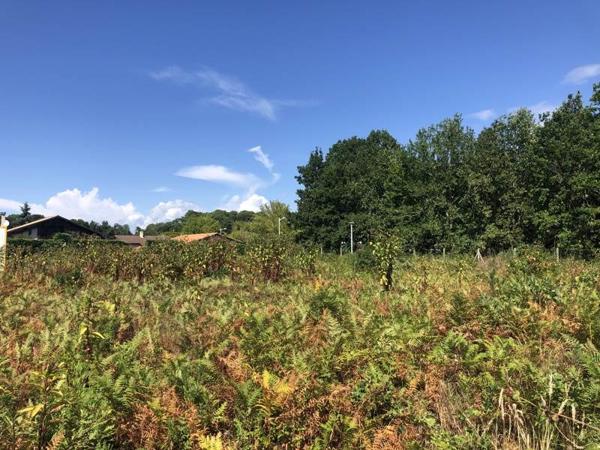 Terrain à vendre |  Biscarrosse |  488 m²