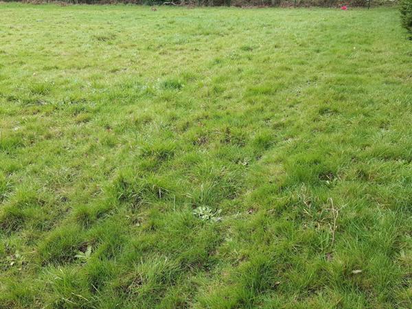 Terrain à VANNES, 56000 - 875m²