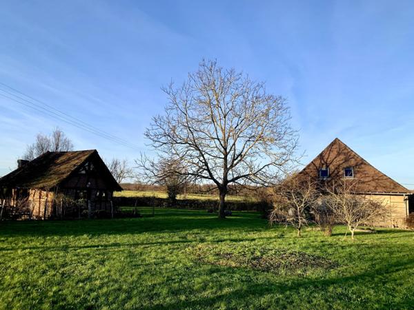Charmante ferme Bressane avec dépendances